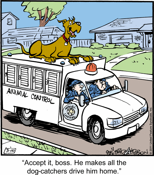 marmaduke